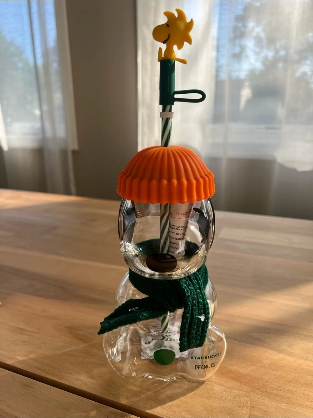 NWT Peanuts™ + Starbucks®Snoopy Cold Cup